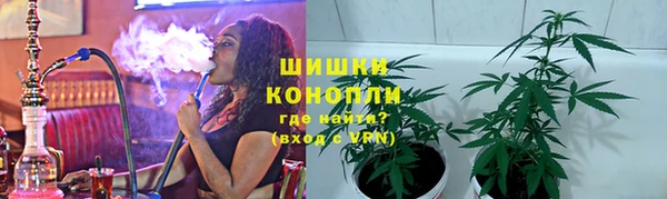МДПВ Богородицк