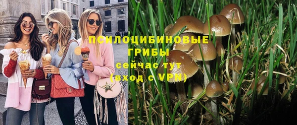 МДПВ Богородицк