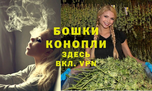 МДПВ Богородицк