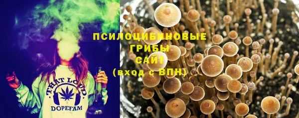 МДПВ Богородицк