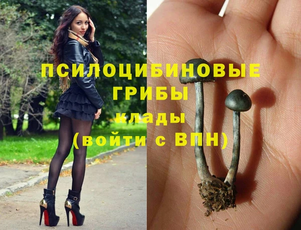 прущие крисы Богданович
