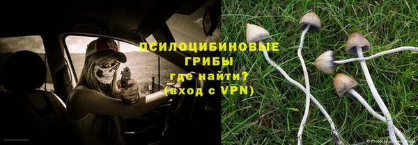 прущие крисы Богданович