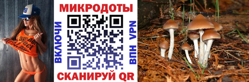 Галлюциногенные грибы Cubensis  Купить закладки  Крымск 